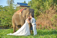 Lanta-Beach-Elephant-Wedding-Package-Virginie-Clement-08